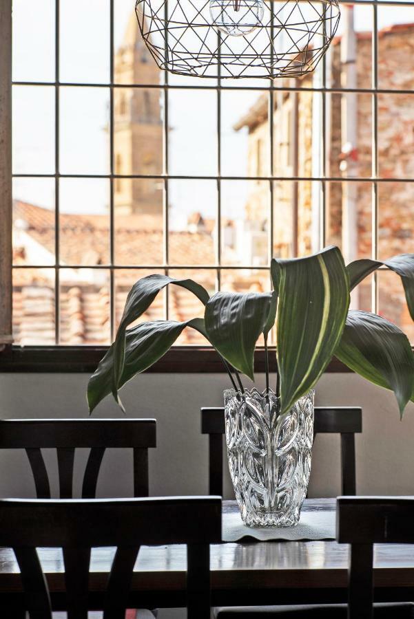 Very Special+Views In Front Of Pitti Palace&Garden Firenze Eksteriør billede